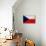 Czech Republic Flag Design with Wood Patterning - Flags of the World Series-Philippe Hugonnard-Stretched Canvas displayed on a wall