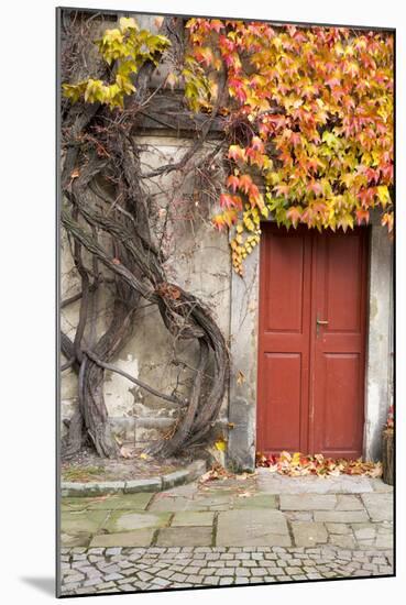 Czech Republic, Liberec, Skala. the Skala Castle-Emily Wilson-Mounted Photographic Print