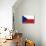 Czech Republic National Flag Poster Print-null-Mounted Poster displayed on a wall