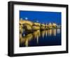 Czech Republic, Prague. Charles bridge water reflection at night.-Julie Eggers-Framed Photographic Print