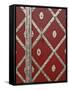 Czech Republic, Prague. Metal Red Door Detail-Petr Bednarik-Framed Stretched Canvas