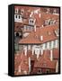 Czech Republic, Prague; Rooftops Seen from Prague Castle-Niels Van Gijn-Framed Stretched Canvas