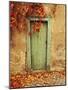 Czech Republic, Prague. Weathered door.-Jaynes Gallery-Mounted Photographic Print