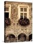 Czech Republic, South Moravia, Slavonice, Sgraffito Buildings-Michele Falzone-Stretched Canvas