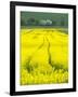 Czech Republic. Tracks in canola field.-Julie Eggers-Framed Photographic Print