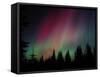 D. Aurora Borealis Alaska Red Skies Northern Lights Copper Center Alaska-pinky-Framed Stretched Canvas