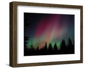 D. Aurora Borealis Alaska Red Skies Northern Lights Copper Center Alaska-pinky-Framed Photographic Print