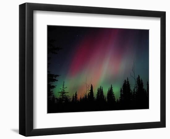 D. Aurora Borealis Alaska Red Skies Northern Lights Copper Center Alaska-pinky-Framed Photographic Print