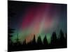 D. Aurora Borealis Alaska Red Skies Northern Lights Copper Center Alaska-pinky-Mounted Photographic Print