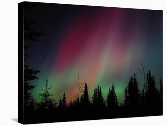 D. Aurora Borealis Alaska Red Skies Northern Lights Copper Center Alaska-pinky-Stretched Canvas