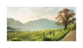 Fog Ahead-D^ Burt-Laminated Photographic Print