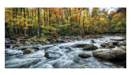 Painted Autumn-D^ Burt-Framed Art Print