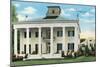 D'Evereux, Natchez, Mississippi-null-Mounted Art Print