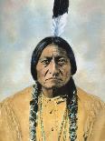 Sitting Bull (1834-1890)-D^ F^ Barry-Photographic Print