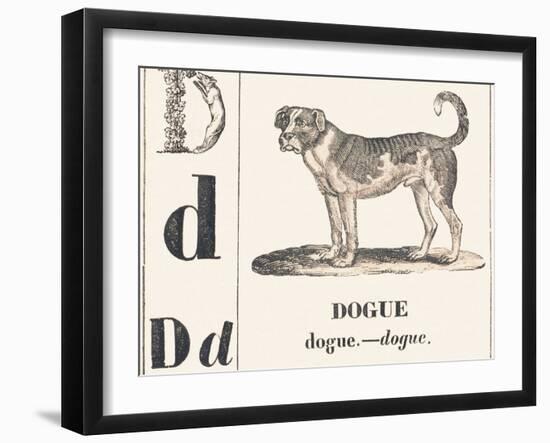 D for Dogue, 1850 (Engraving)-Louis Simon (1810-1870) Lassalle-Framed Giclee Print