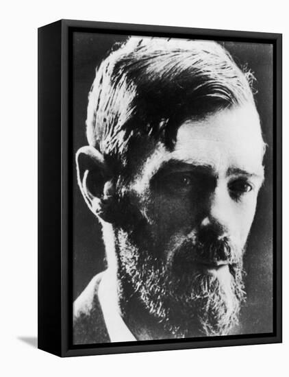 D H Lawrence English Novelist-null-Framed Stretched Canvas