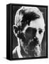 D H Lawrence English Novelist-null-Framed Stretched Canvas