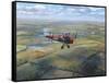 D.H. Tiger Moth-Roy Cross-Framed Stretched Canvas