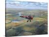 D.H. Tiger Moth-Roy Cross-Stretched Canvas