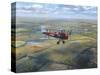D.H. Tiger Moth-Roy Cross-Stretched Canvas