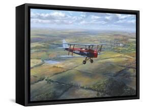 D.H. Tiger Moth-Roy Cross-Framed Stretched Canvas
