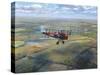 D.H. Tiger Moth-Roy Cross-Stretched Canvas