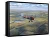 D.H. Tiger Moth-Roy Cross-Framed Stretched Canvas