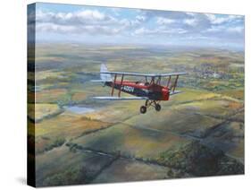 D.H. Tiger Moth-Roy Cross-Stretched Canvas