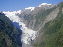 View of the Top of Fox Glacier, Westland, West Coast, South Island, New Zealand-D H Webster-Photographic Print