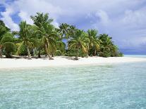 Paradise Beach, One Foot Island, Aitutaki, Cook Islands, South Pacific Islands-D H Webster-Photographic Print
