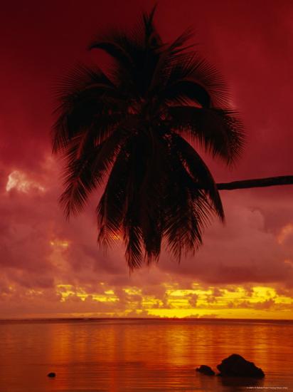 Premium Photographic Print, , large