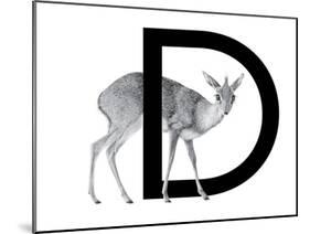 D is for Dikdik-Stacy Hsu-Mounted Art Print