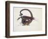 D Is for Dragon, 1979-Wayne Anderson-Framed Premium Giclee Print