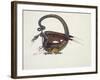 D Is for Dragon, 1979-Wayne Anderson-Framed Giclee Print