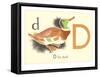 D is for Duck-null-Framed Stretched Canvas