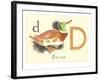 D is for Duck-null-Framed Art Print