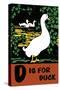 D is for Duck-Charles Buckles Falls-Stretched Canvas