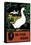 D is for Duck-Charles Buckles Falls-Framed Stretched Canvas