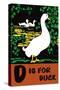 D is for Duck-Charles Buckles Falls-Stretched Canvas
