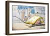 D'Jehalledar, or Canopied Bed Conveyance with Extra-Long Front-Franz Balthazar Solvyns-Framed Giclee Print