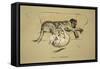 D-Nation, 1930, 1st Edition of Sleeping Partners-Cecil Aldin-Framed Stretched Canvas