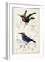 D'Orbigny Birds I-M. Charles D'Orbigny-Framed Art Print