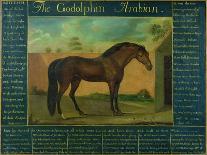 The Godolphin Arabian-D. Quigley-Stretched Canvas