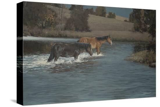 Stretched Canvas Print, , large
