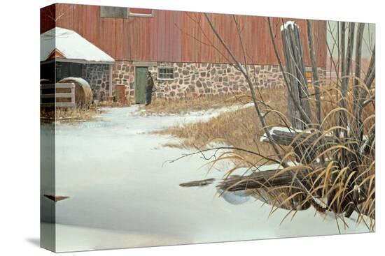 Stretched Canvas Print, , large