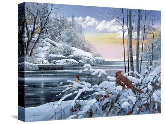 Stretched Canvas Print, , large