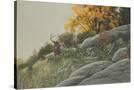 Stretched Canvas