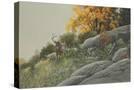 Stretched Canvas