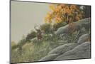 Wood Mount