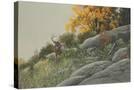 Stretched Canvas